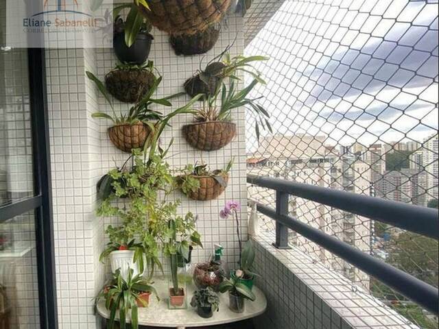 Venda em Vila Andrade - São Paulo