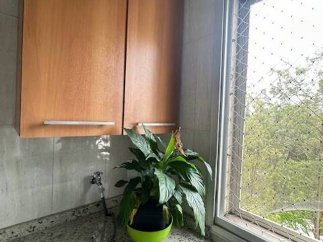 Apartamento para Locação em São Paulo - 5